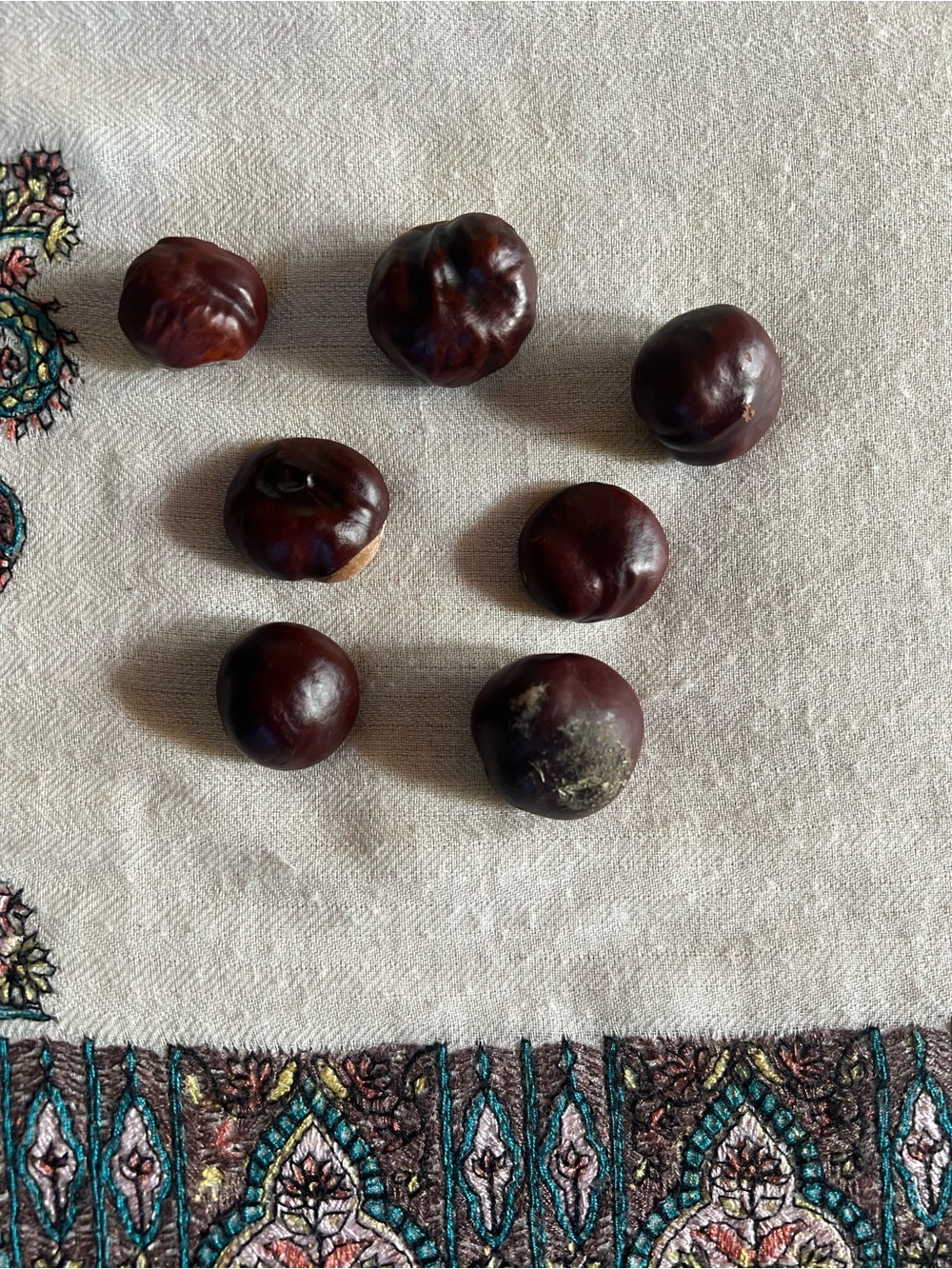 Buckeyes - Picture 2 of 2